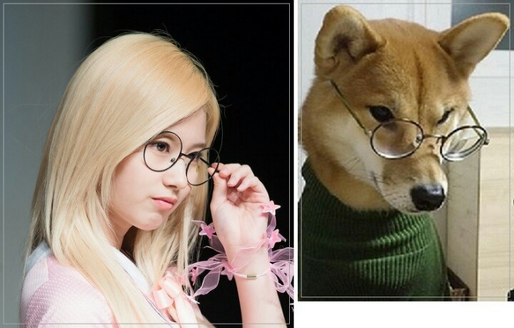 트와이스 사나 | 인스티즈