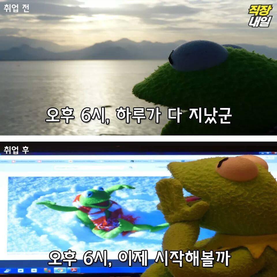 직장인이 되기 전과 후.jpg | 인스티즈