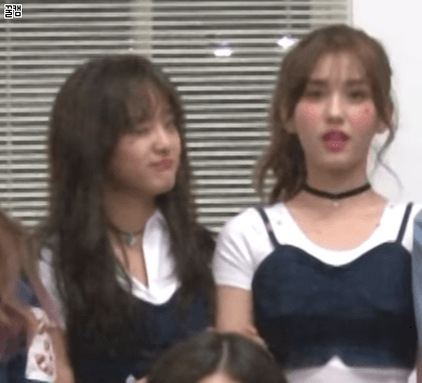 아이오아이 ioi 가 해체 할 경우 더이상 볼수 없는 것 | 인스티즈