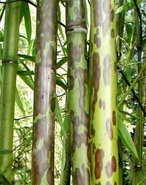 후삼국시대 한 남자의 복수 이야기 | 인스티즈