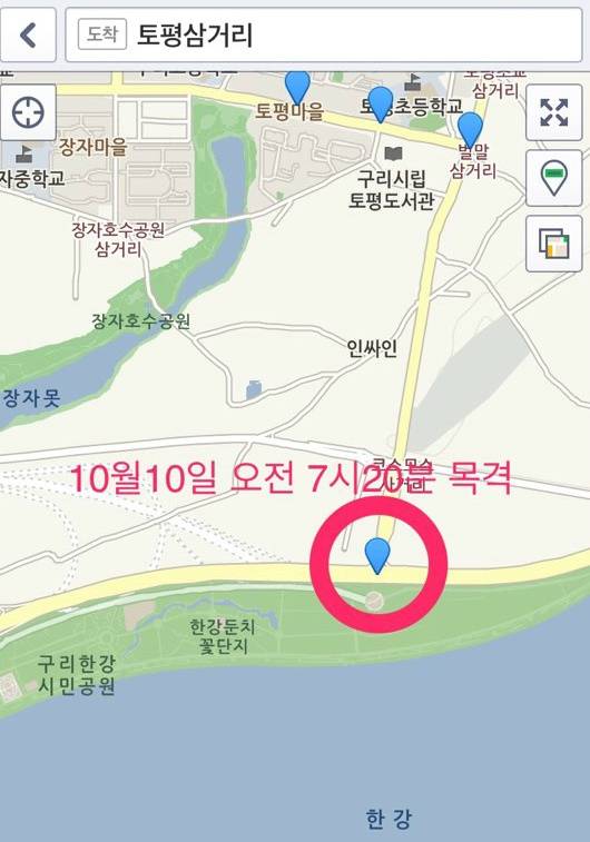 [기타] 구리시에서 강아지를 찾습니다.. 도와주세요 | 인스티즈