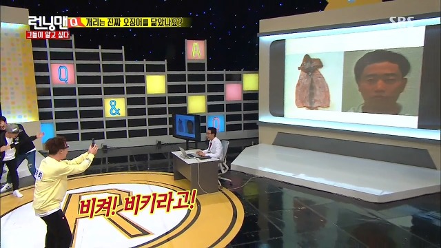 개리는 진짜 오징어를 닮았나요? | 인스티즈