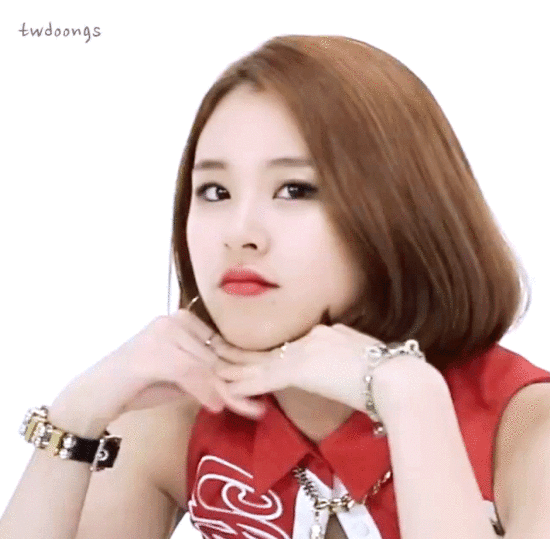 [트와이스] 아기맹수 채영 | 인스티즈