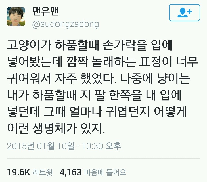 고양이가 하품할 때 손가락을 입에 넣어봤는데 | 인스티즈