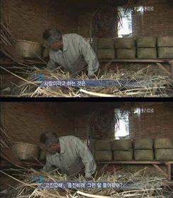 할아브의 명언 | 인스티즈