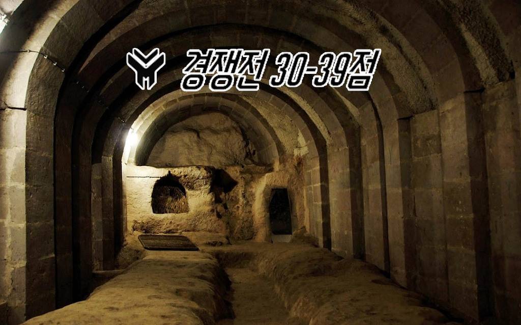 재미로 보는 오버워치 등급별 이미지 | 인스티즈