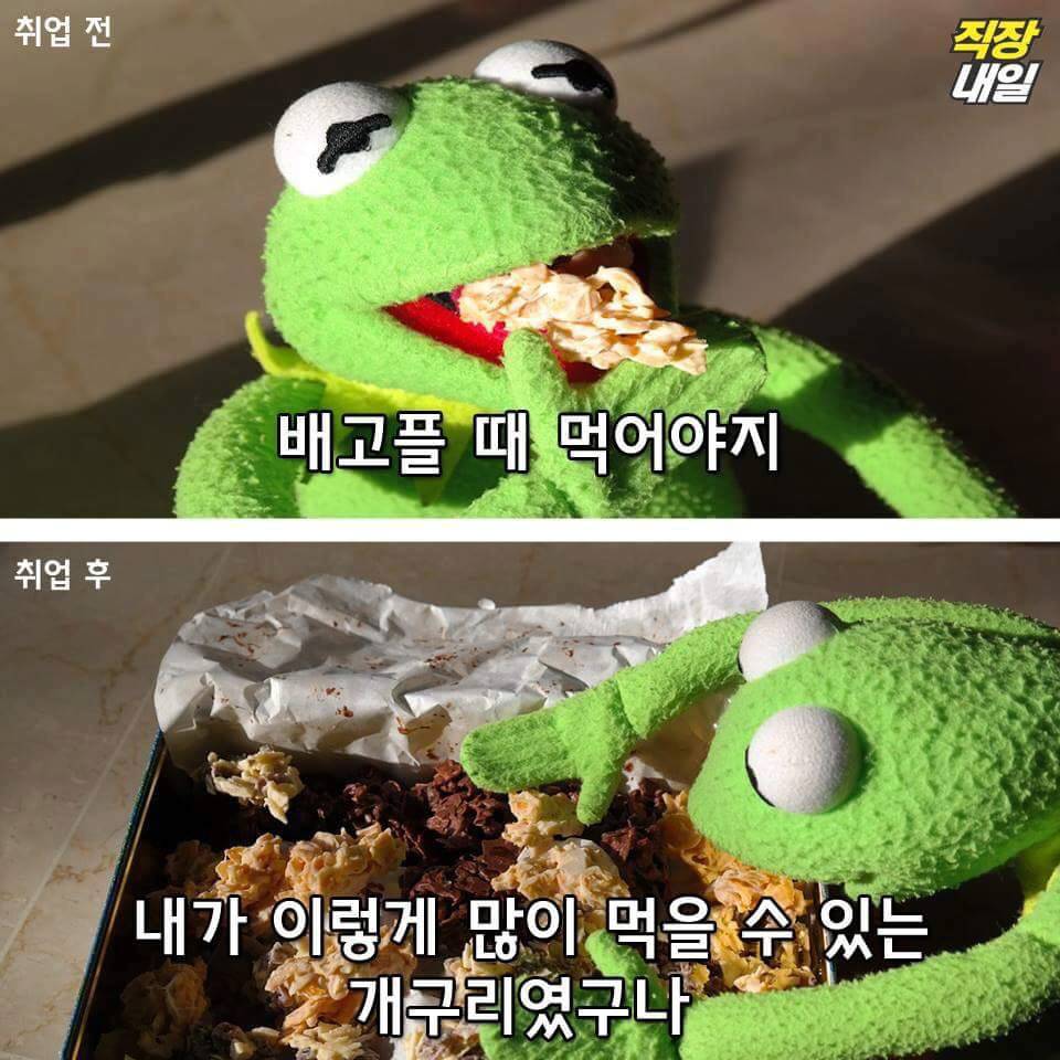 직장인이 되기 전과 후.jpg | 인스티즈