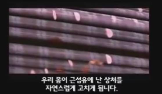 근육이 자라는 과정 | 인스티즈