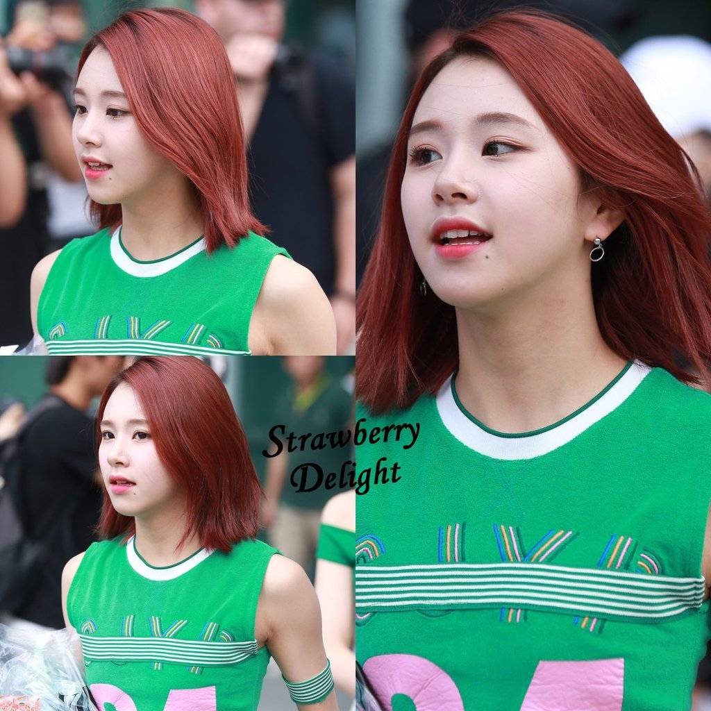 아기맹수 채영이 | 인스티즈