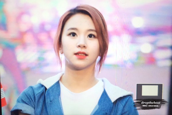 아기맹수 채영이 | 인스티즈