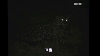 북한에가면 볼수있다는 신기한 동물들 .jpg | 인스티즈