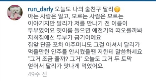 유기견에서 스타강아지가 되기까지 달리의 변화모습 | 인스티즈