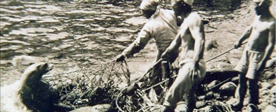 일본의 뻔뻔함 | 인스티즈