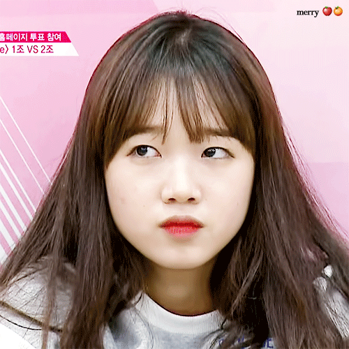 고민되는 프로듀스 101 나머지 픽.jpg | 인스티즈