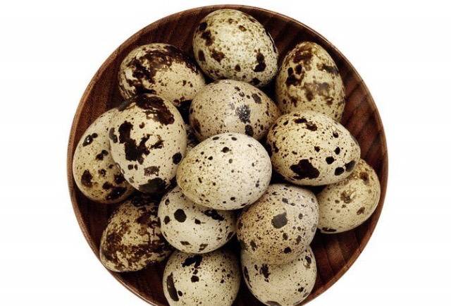 앉아서 쉬는 물범 | 인스티즈