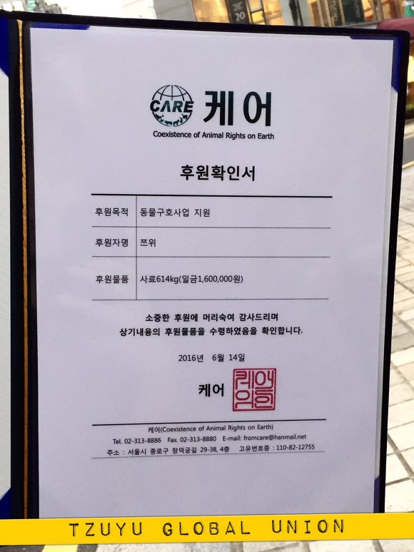 쯔위 팬들이 쯔위 생일에 한일들 | 인스티즈