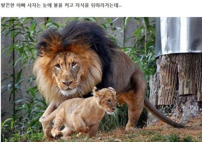 혼나는 아빠 | 인스티즈