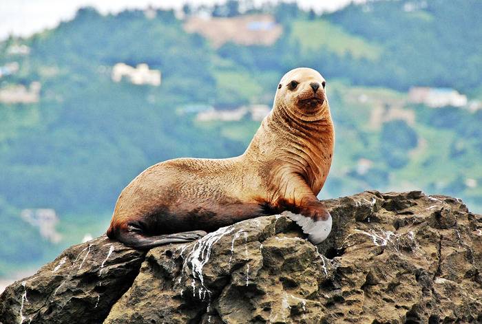 일본의 뻔뻔함 | 인스티즈