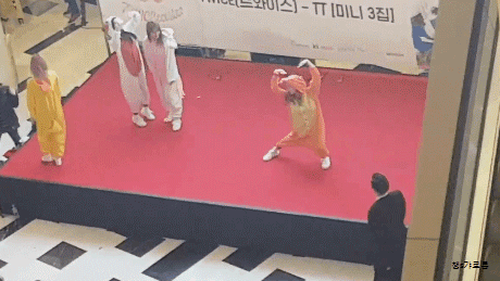 [트와이스] 떨어진 파이리를 줍는 다현이(폭주하는 둡ㅋㅋ) | 인스티즈