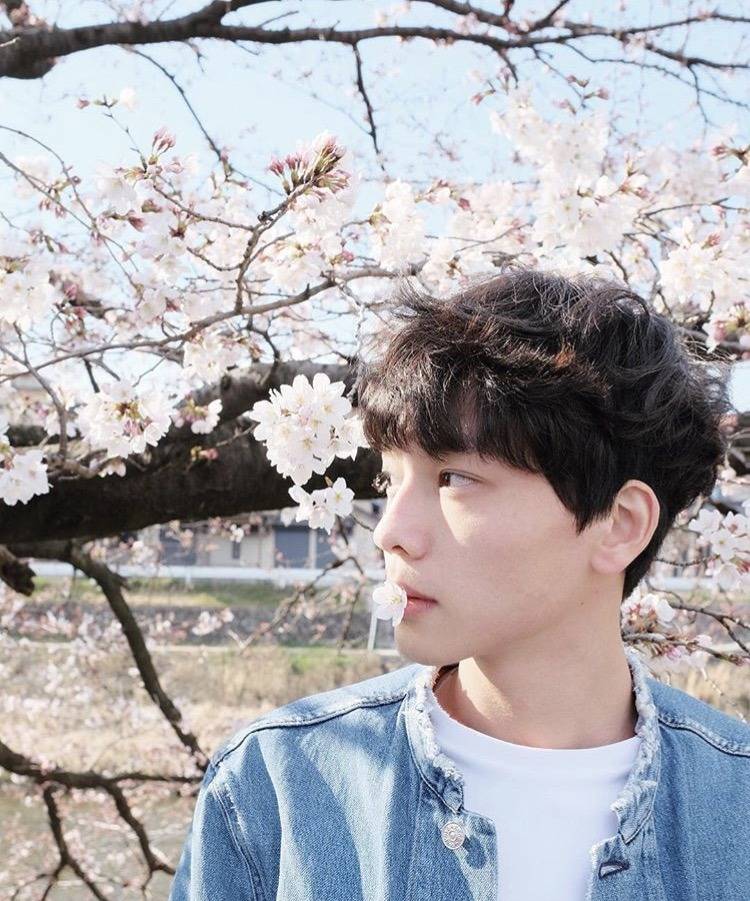 대륙의 흔한 일러스트레이터 | 인스티즈