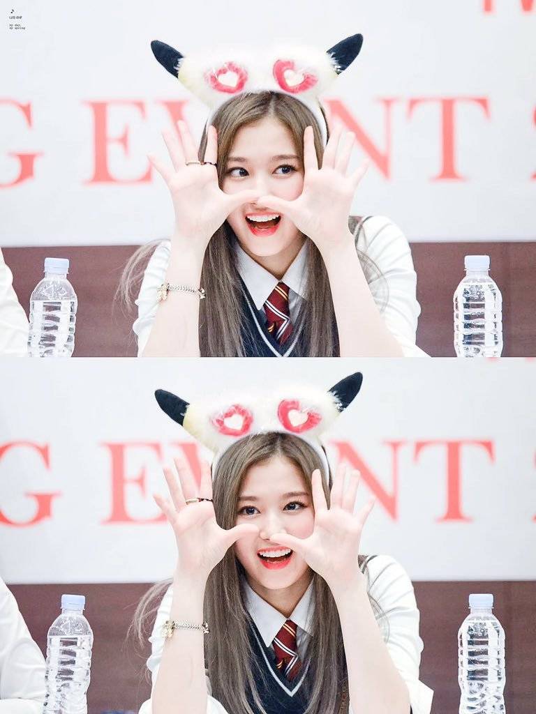 애기같은 사나.gif | 인스티즈