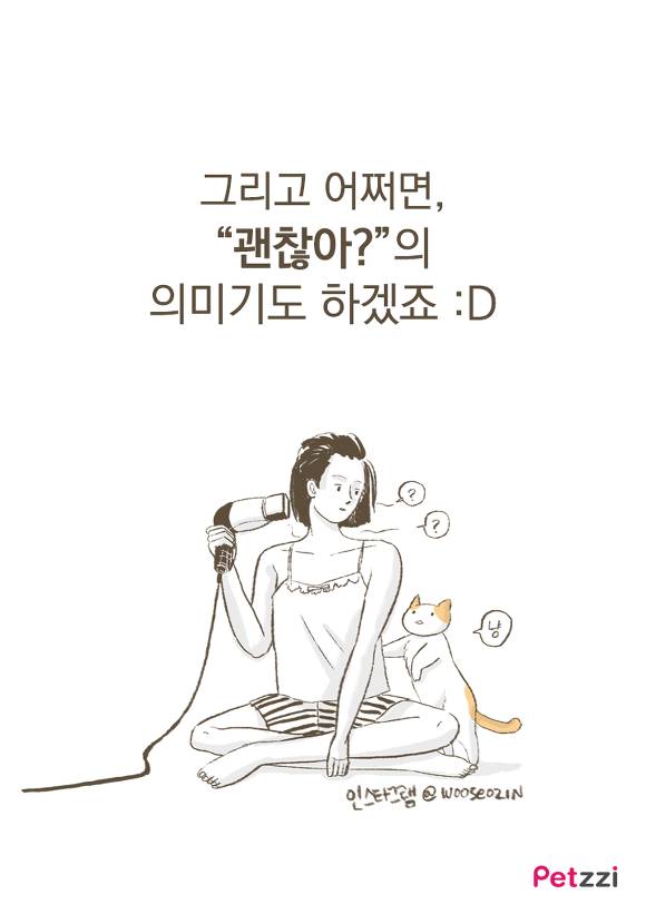 고양이들이 화장실 문앞에 기다리는 이유.jpg | 인스티즈
