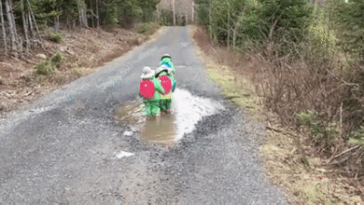 물웅덩이를 보면 그냥 지나치지 못하는 아기들 | 인스티즈