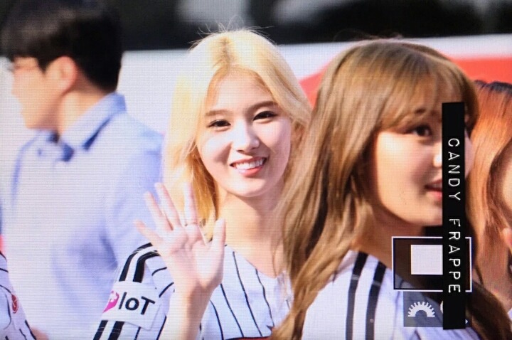 [트와이스] 시타하는 사나 타격 폼 | 인스티즈