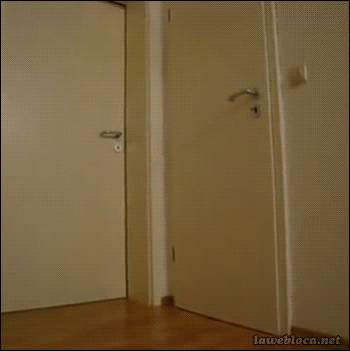 문 여는 뱀 | 인스티즈