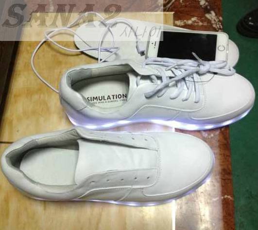 대륙에서 유행한 신발...jpg | 인스티즈