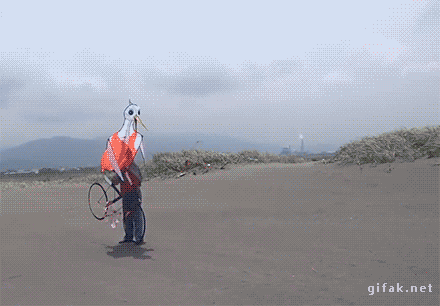 신박한 연날리기 | 인스티즈