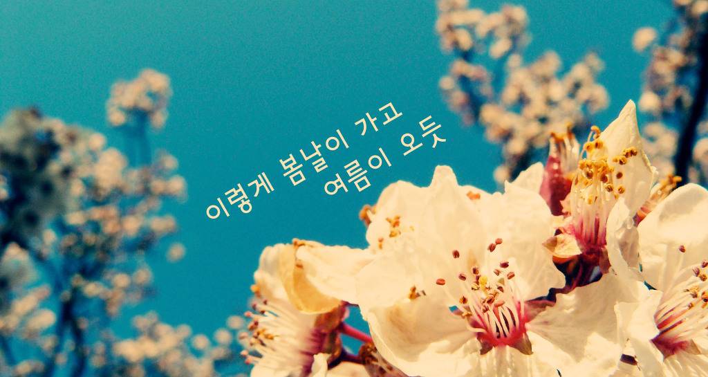 당신 생각을 켜 놓은 채 잠이 들었습니다 | 인스티즈