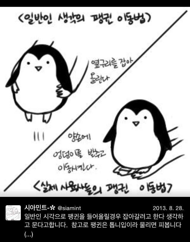 [트와이스미나] 펭귄마스터♥ | 인스티즈