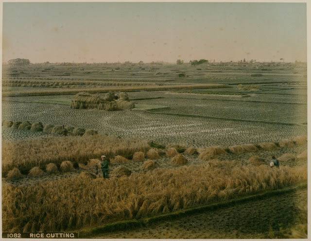 19세기 일본 | 인스티즈