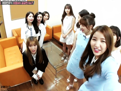 자기 팬을 견제하는 단신 마마무 (feat.여자친구)ㅋㅋ | 인스티즈