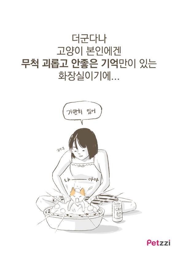 고양이들이 화장실 문앞에 기다리는 이유.jpg | 인스티즈
