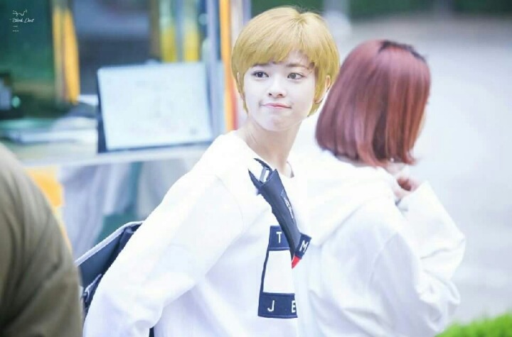 어제자 트와이스 콘서트 | 인스티즈