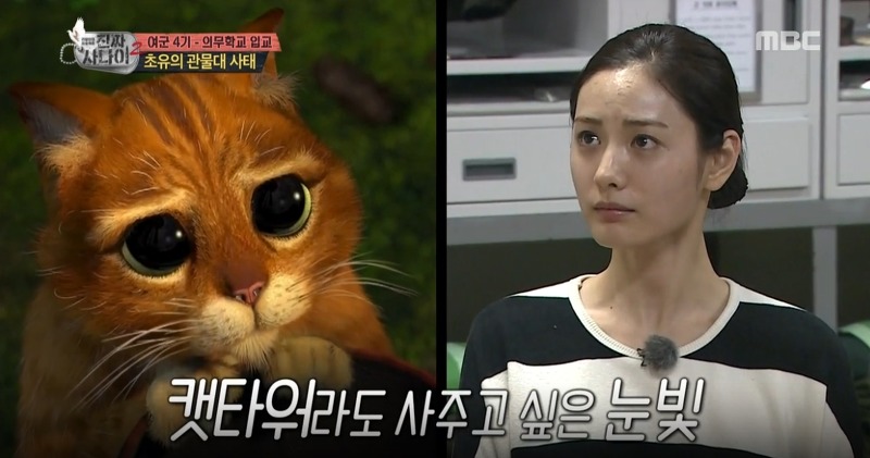 고양이같은 표정과 눈빛때문에 오해 많이 받는 연예인......jpg | 인스티즈