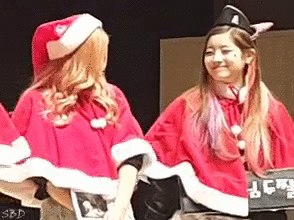 트와이스 시바견과 주인 김다현.gif | 인스티즈