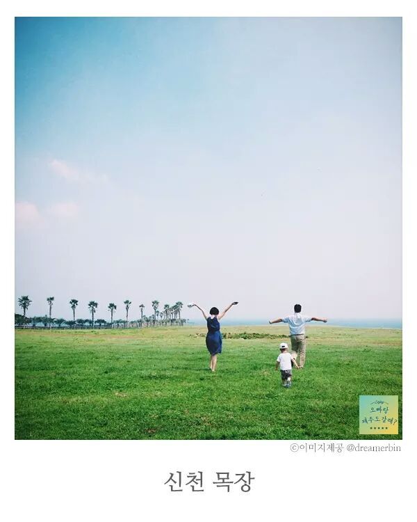 제주도 사진찍기 좋은 스팟.jpg | 인스티즈