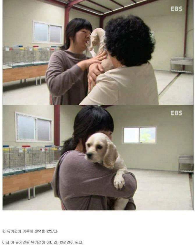 나는 아직 살수 있는데 왜 죽으라하나요 | 인스티즈