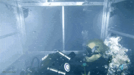 상어의 본심 | 인스티즈