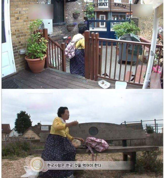 영국의 맛을 본 한국 할머니 | 인스티즈