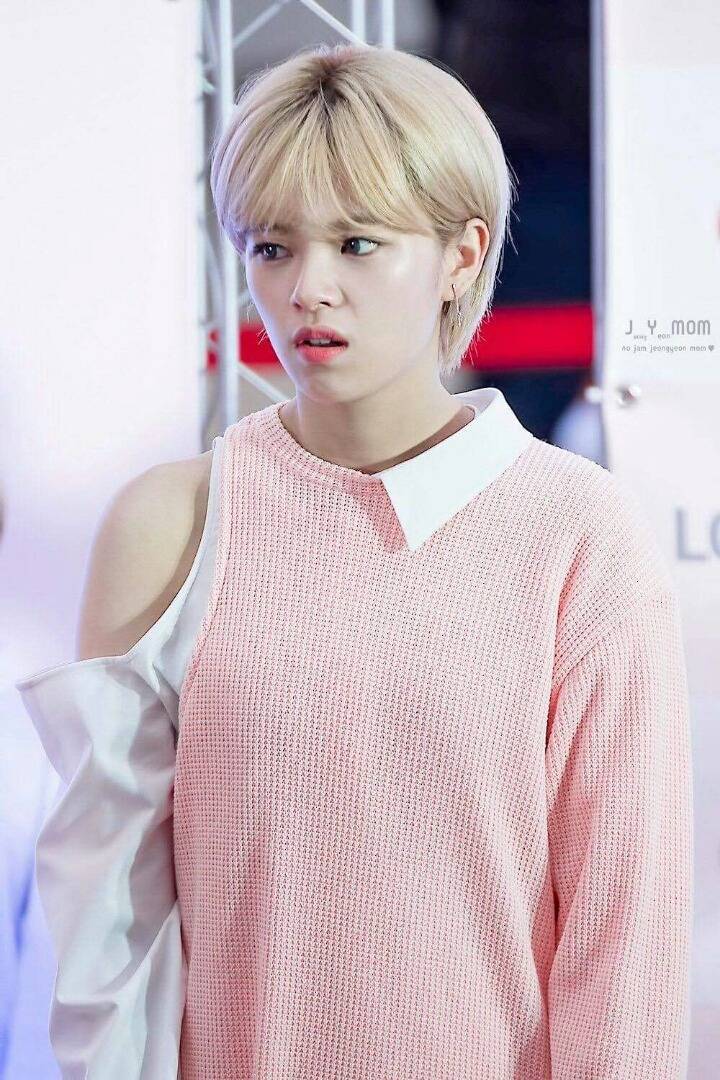 정연이 지효 | 인스티즈