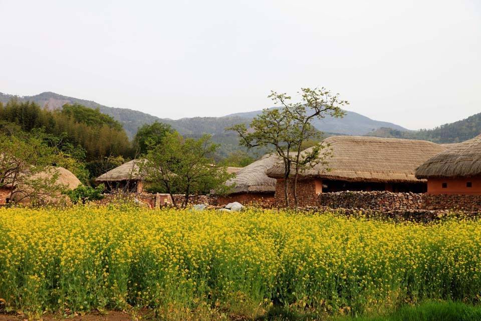 전라남도 순천 낙안읍성 마을의 진짜 한국적인 풍경 (안구정화) | 인스티즈