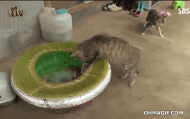 호불호 정말 많이 갈리는 음식.jpg | 인스티즈