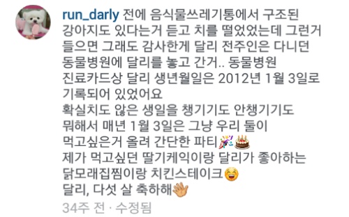 유기견에서 스타강아지가 되기까지 달리의 변화모습 | 인스티즈