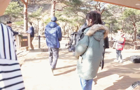 인간멍뭉이 같은 수지 | 인스티즈