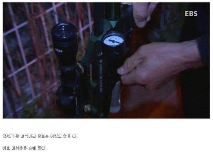 나는 아직 살수 있는데 왜 죽으라하나요 | 인스티즈