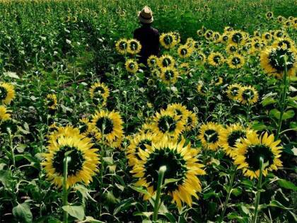 아이폰으로 찍다(shot on iPhone) 시리즈 | 인스티즈